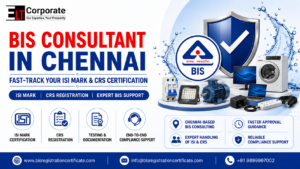 BIS Consultant in Chennai